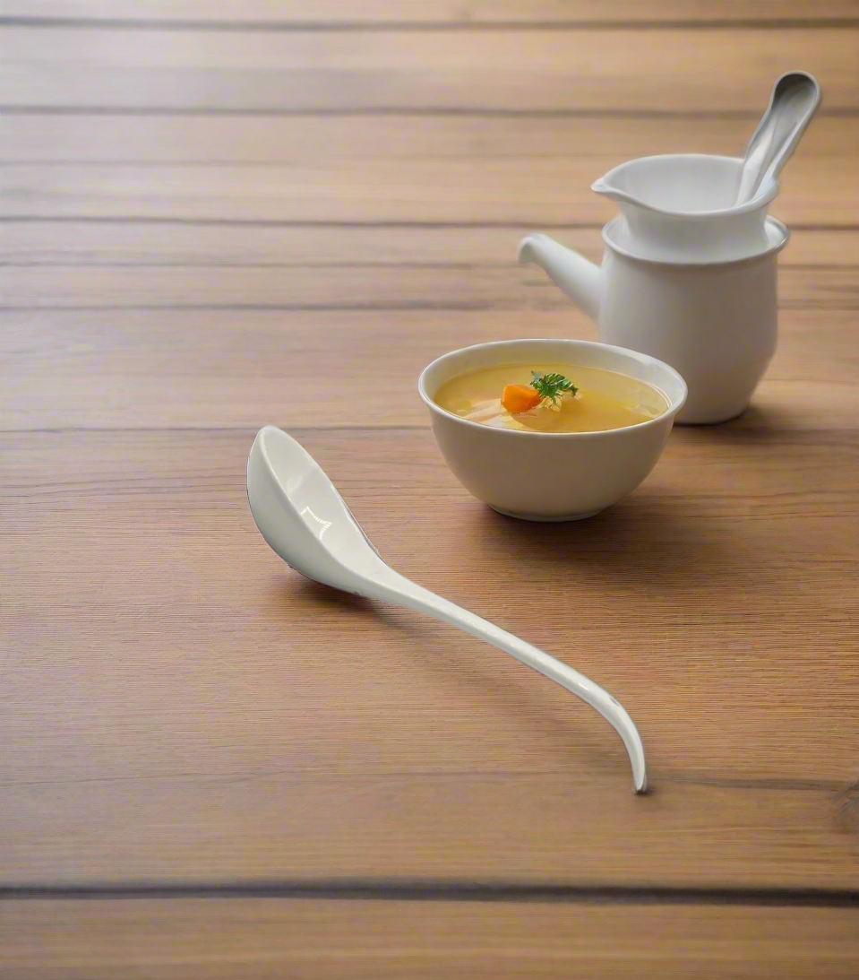 white ceramic curry spoon china