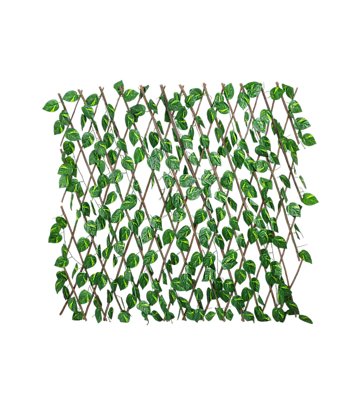 deewari leaf folding large china