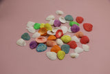 decorative sea shell multi color china d017