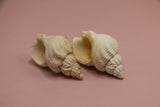 aquarium decor sea shell pack of 2 china d019