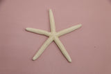 aquarium decor star fish china 996