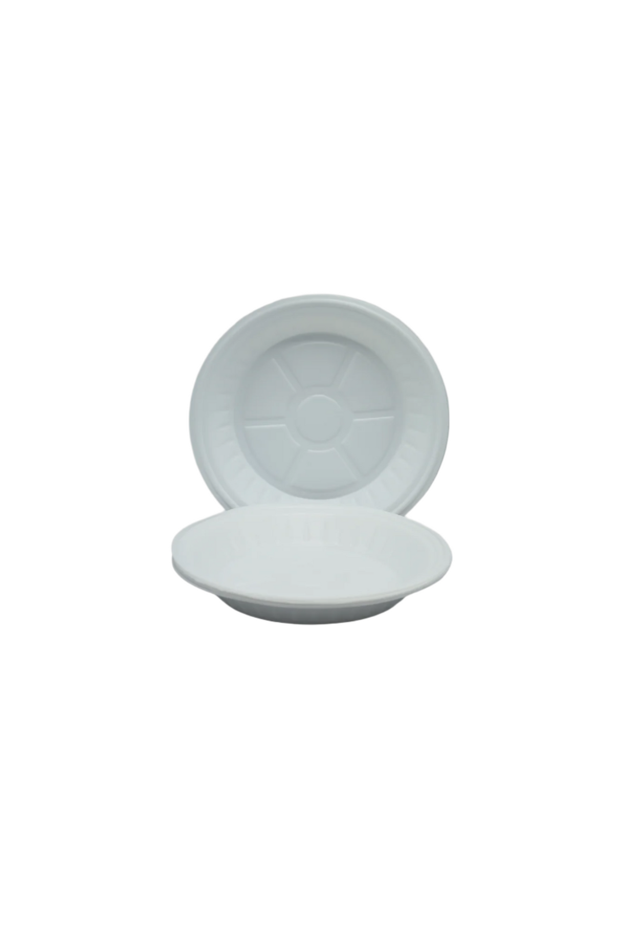 disposable plate plastic medium 10pc pp 022
